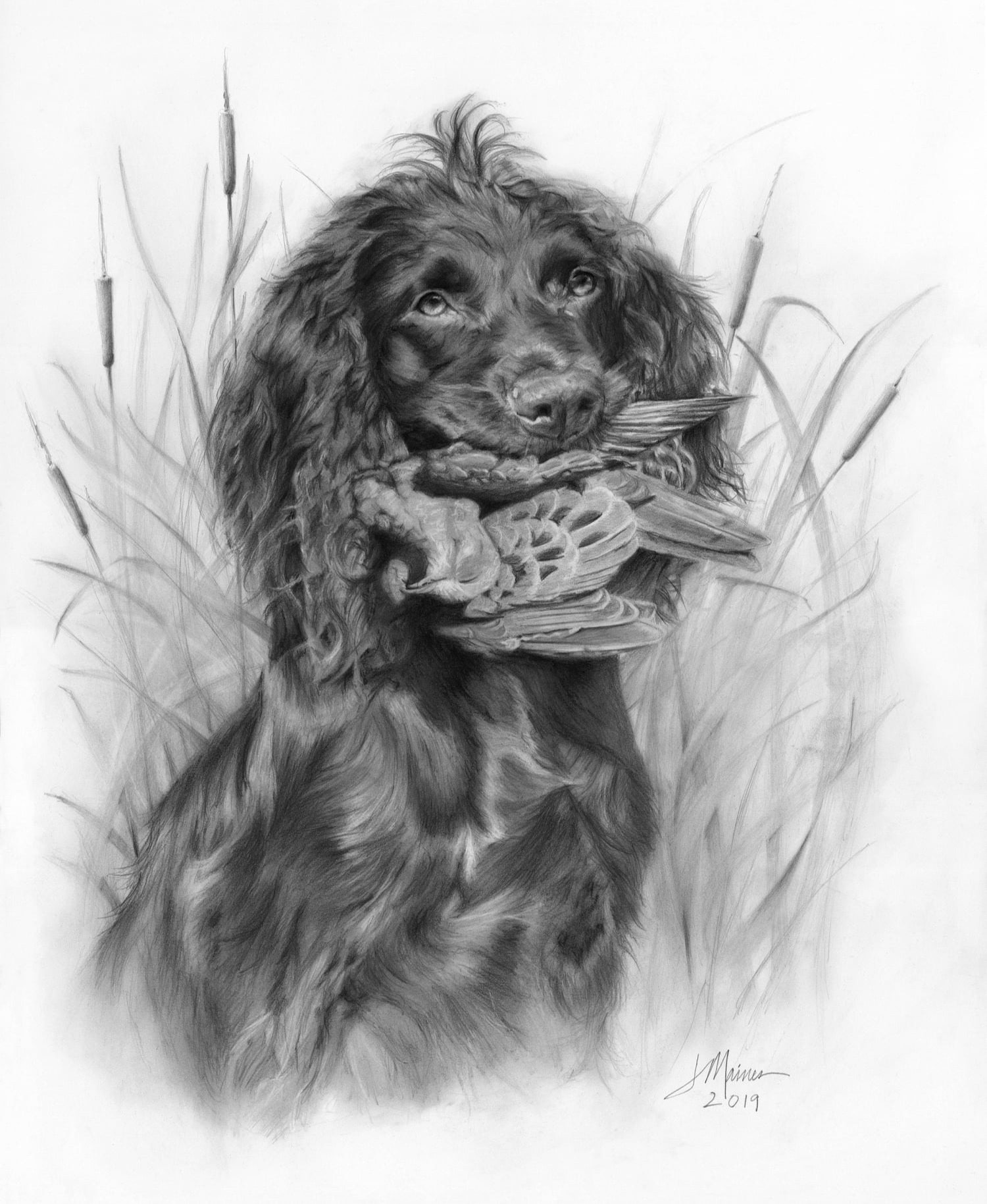 Graphite Pet Portrait