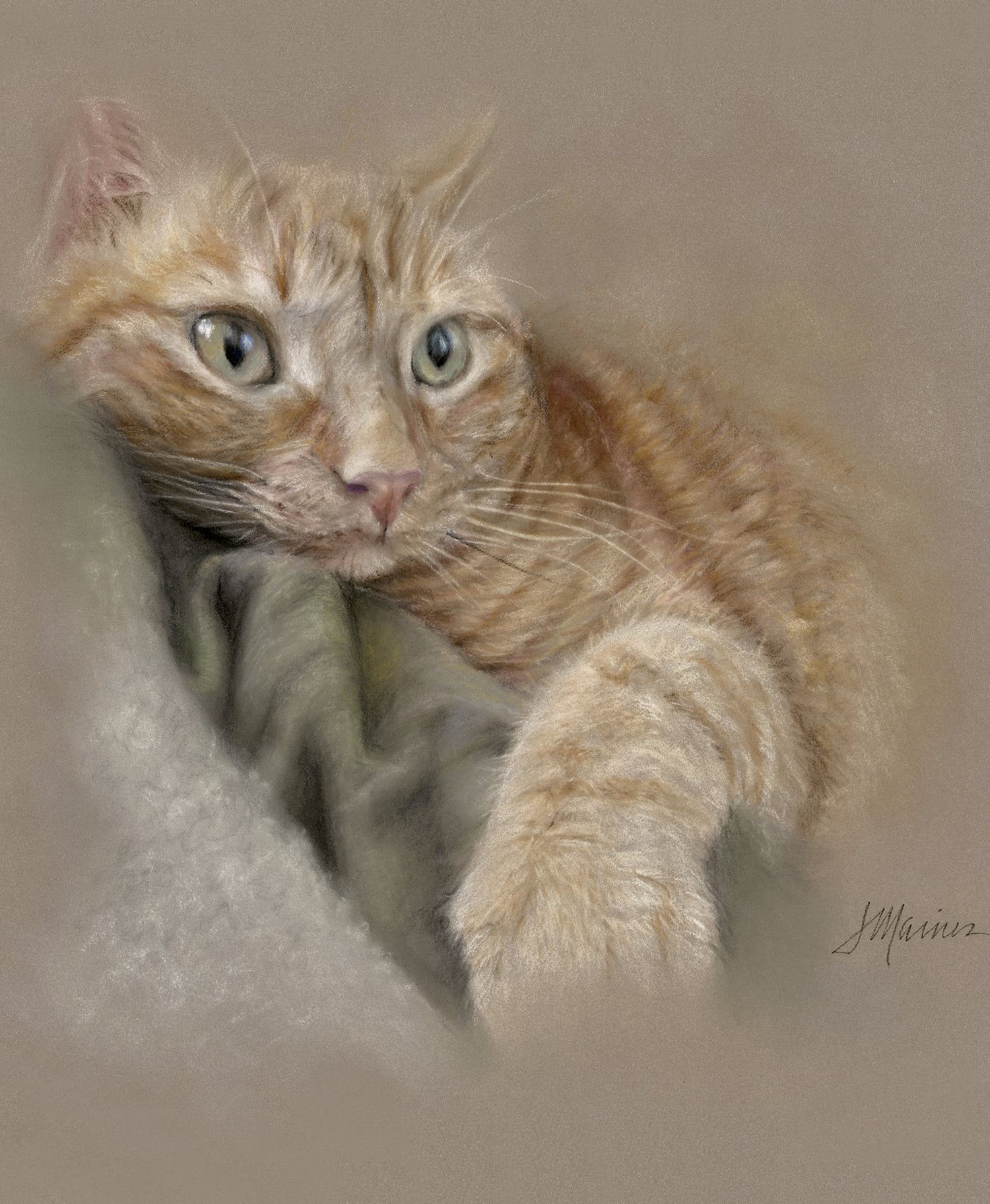 Janet Maines Portraits