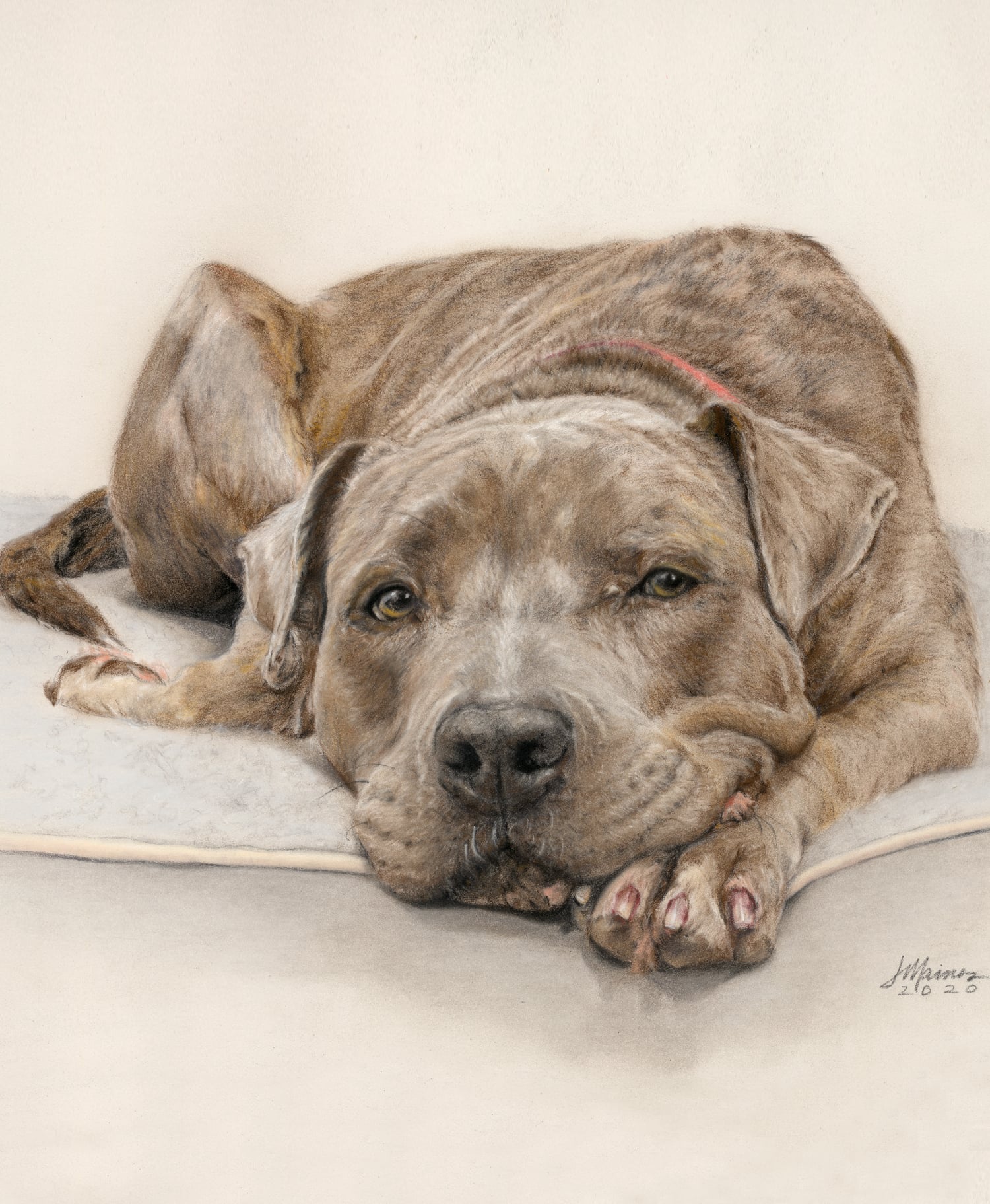 Janet Maines Portraits